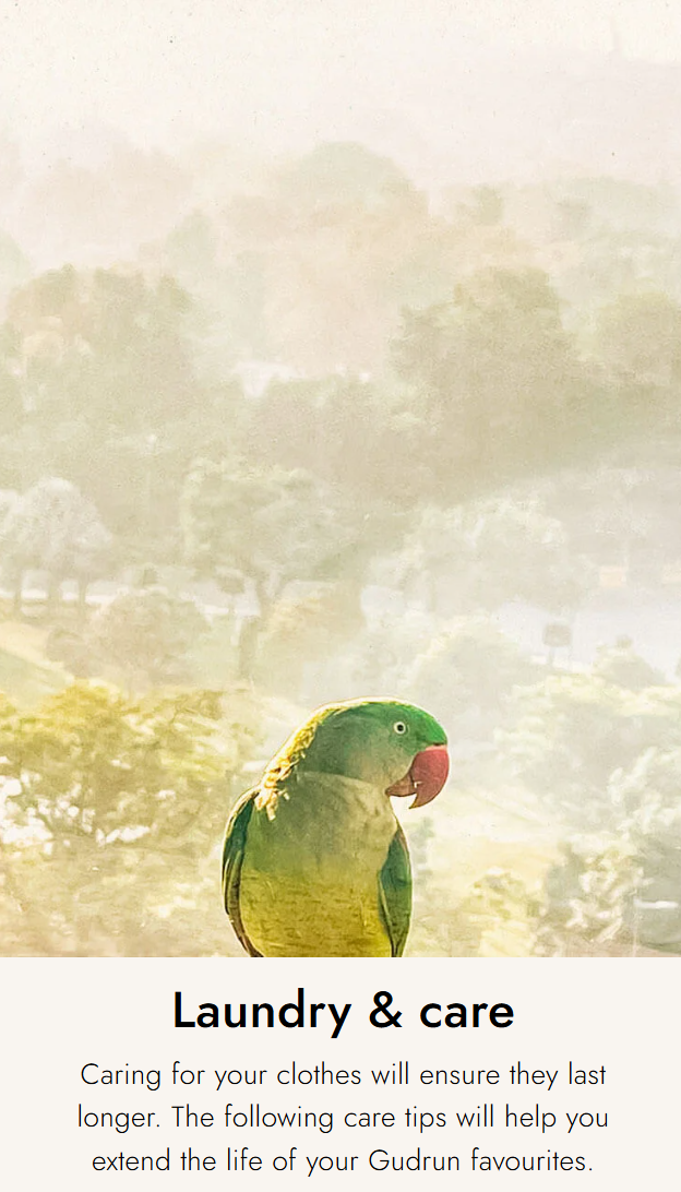 Pasted Image