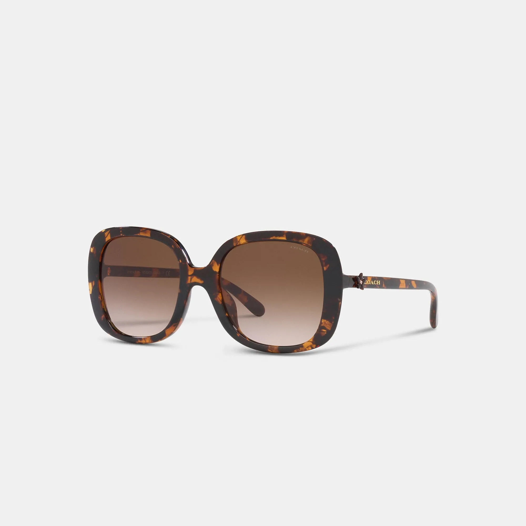 𝐂𝐎𝐀𝐂𝐇® Fashion Sunglasses
