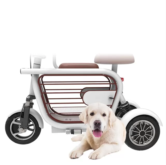 400W long range electric bike 3 wheeler